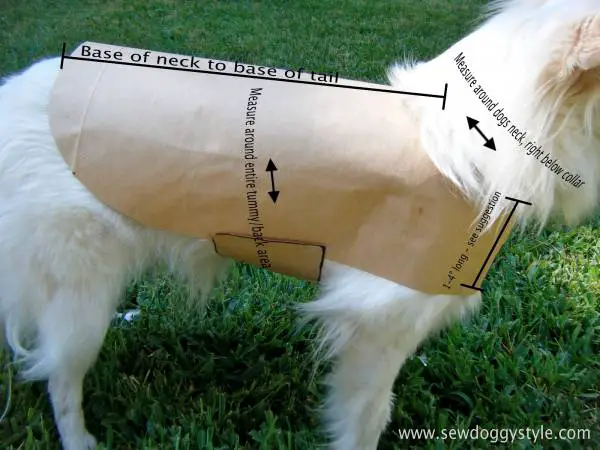 comment confectionner un manteau pour chien