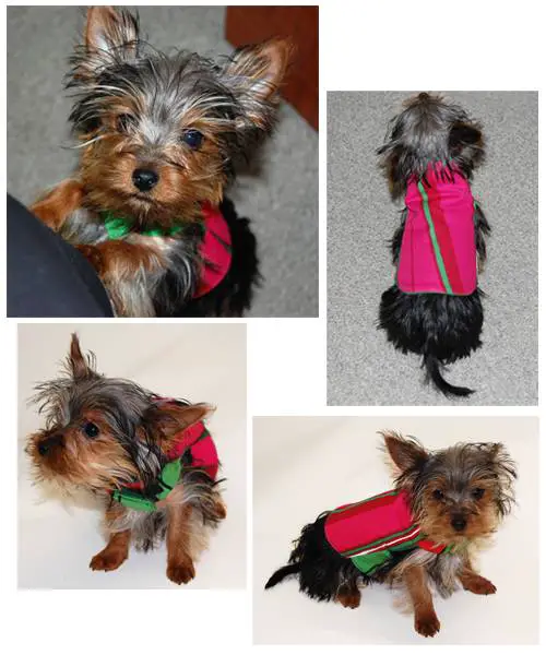 Le manteau pour chien de Marimekko
