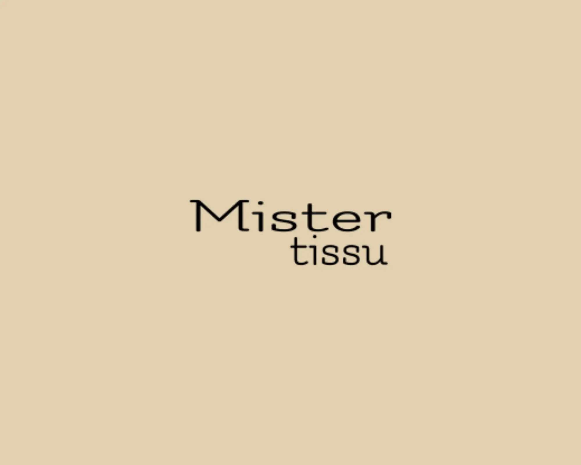 logo Mister Tissu