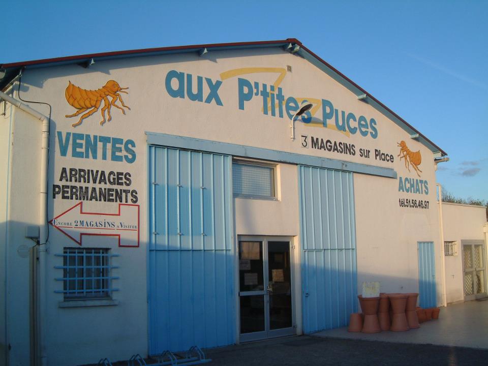 logo APPA AUX PETITES PUCES AIGUILLONNAISES