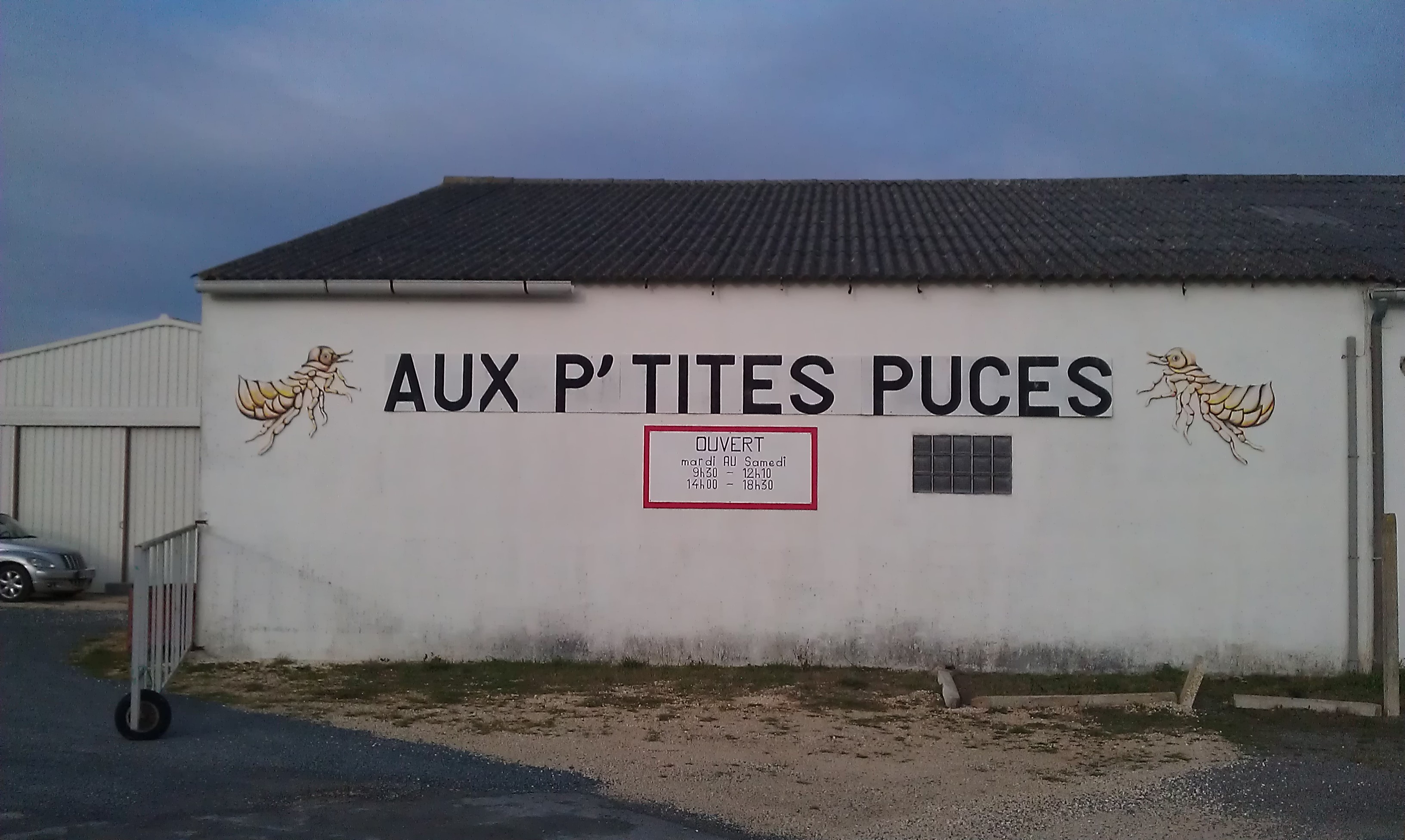 APPA AUX PETITES PUCES logo logo APPA AUX PETITES PUCES