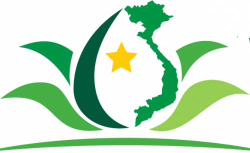 Vietnam Dragon Travel
