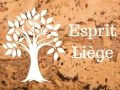 logo Esprit-Liège