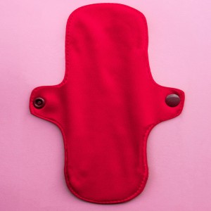 ex-protege-slip-large