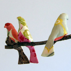 oiseau Oiseau