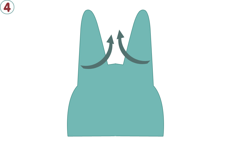 IBonnetEasy04