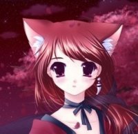 kittyline kittyline