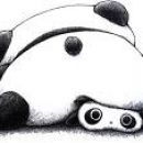 GazouPanda GazouPanda