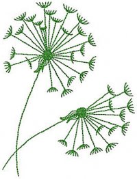 fee_paquerette fee_paquerette