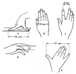 astuce longueurs main