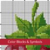 couleurs et symboles