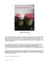 couvercles pots conserve saladier – Image 3