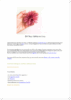 dahlia DIY – Image 2