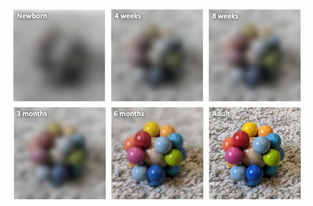 Simulating newborn face perception