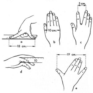 astuce longueurs main