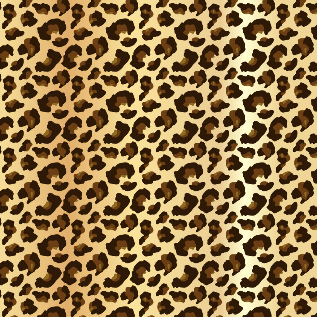 leopard
