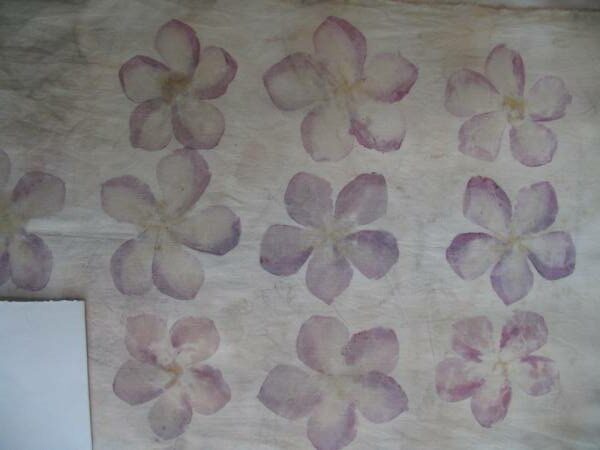 teinture fleurs 1 e1763048930108