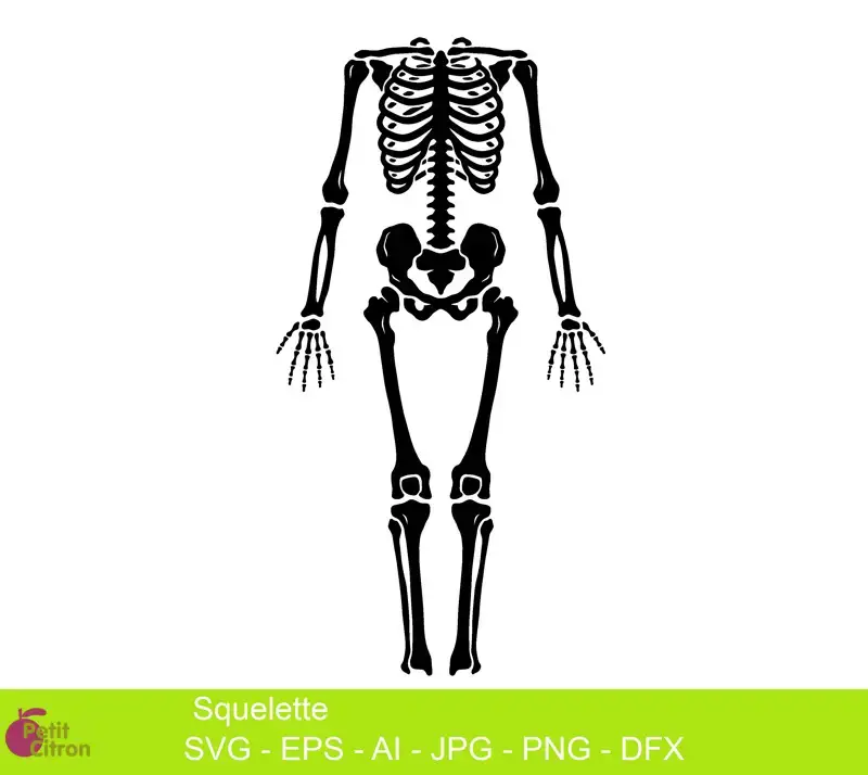 Fichier de découpe: squelette