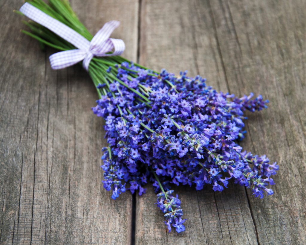 bouquet lavande