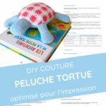 tortue
