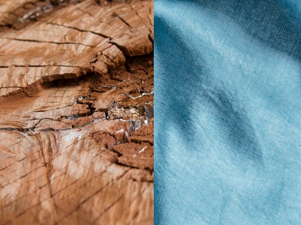 Viscose vs Modal vs Lyocell vs Tencel