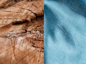 Viscose vs Modal vs Lyocell vs Tencel