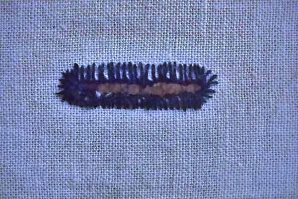 bouton Coudre les boutonnières à la main